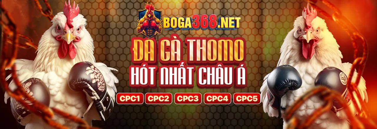 Tin tức và cập nhật mới nhất từ thiên ha bet